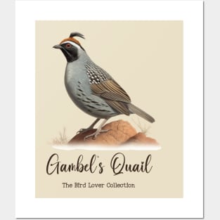 Gambel´s Quail - The Bird Lover Collection Posters and Art